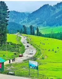 Doodhpathri Throws Open Its Meadows to Tourists Doodhpathri Throws Open Its Meadows to Tourists