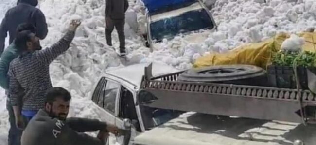 7 killed, 5 injured after multiple avalanches near Zojila pass