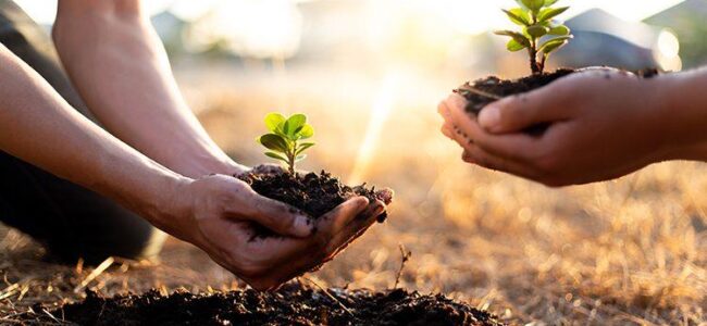 Growing a Greener Future Growing a Greener Future