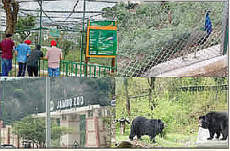 From Himalayas to the Coast: Jammu Railways Scripts History with First-Ever Zoo Animal Train Transfer From Himalayas to the Coast: Jammu Railways Scripts History with First-Ever Zoo Animal Train Transfer