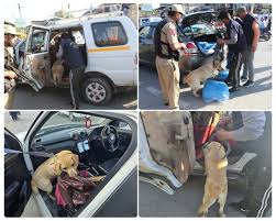 Narcotic dog squad deployed in Shopian to strengthen action against drug trafficking Narcotic dog squad deployed in Shopian to strengthen action against drug trafficking