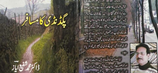 Pagdandi Ka Musafir: A Collection of Short Stories