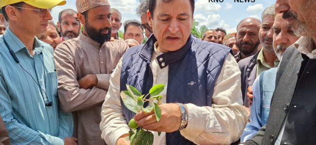 Hailstorm Aftermath: Crop insurance scheme likely within two months in J&K: Minister Javed Dar
