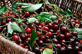 120 Tonnes of Kashmir Strawberries Set to Board Train
