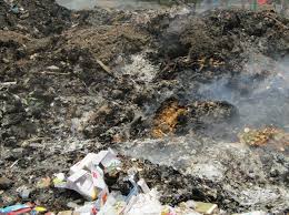 Dumping site turns health hazard in Tral’s Nagapathri