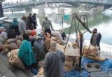 Centre may issue nearly 3 crore more ration cards after states delete ineligible entries: Union Minister Centre may issue nearly 3 crore more ration cards after states delete ineligible entries: Union Minister
