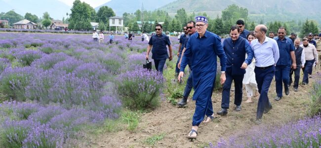 Chief Minister Omar Abdullah Inaugurates Lavender Festival at Nunar
