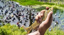 Silent Suffocation in Panzath Silent Suffocation in Panzath