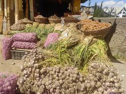 First-ever open garlic market at Prichoo Mandi draws huge farmer participation First-ever open garlic market at Prichoo Mandi draws huge farmer participation