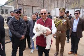 Pashmina Development Board approved for Ladakh by LG Saxena