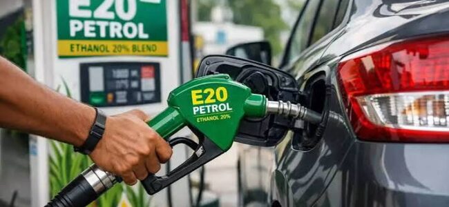 E20 may cut mileage by up to 5 percent: Oil Min