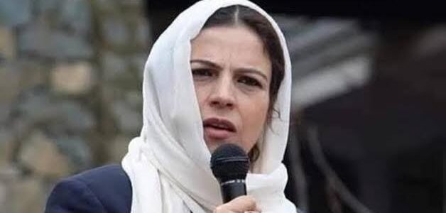 Ex-chairperson of Baramulla district development council joins NC