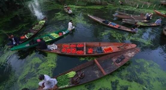 LCMA shares Dal Lake restoration, weed management expertise with LDA Manipur