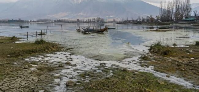 Vanishing Wetlands